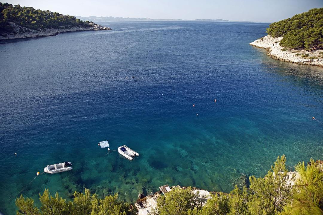 Photo of Others in Cove Osibova (Milna)