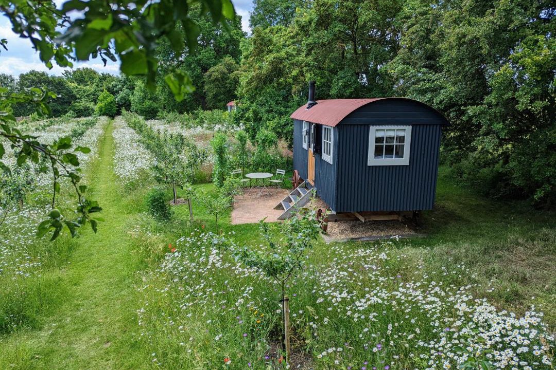 Photo of Others in Stamford