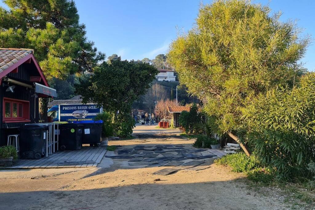 Photo of Others in Cerons