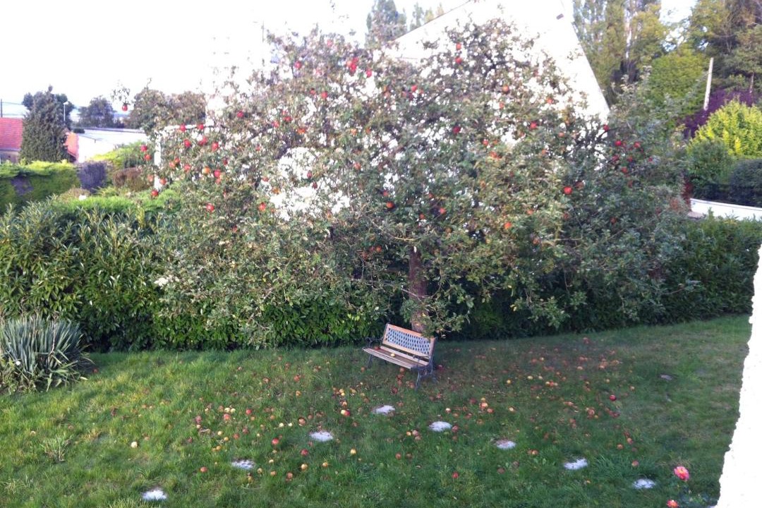 Photo of Others in Villers-Allerand