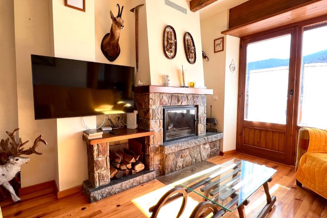 Photo of Livingroom in Espot