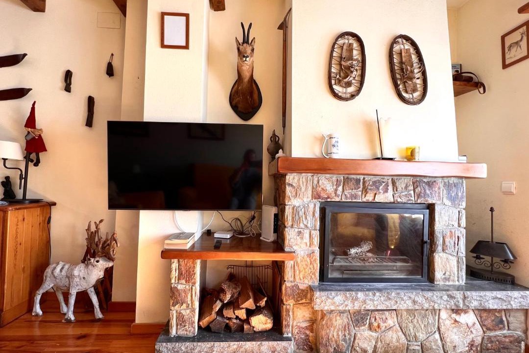 Photo of Livingroom in Espot