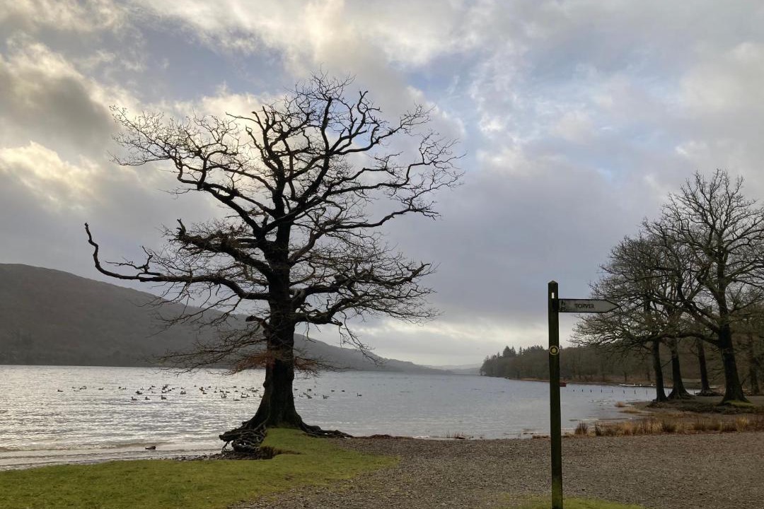 Photo of Others in Torver