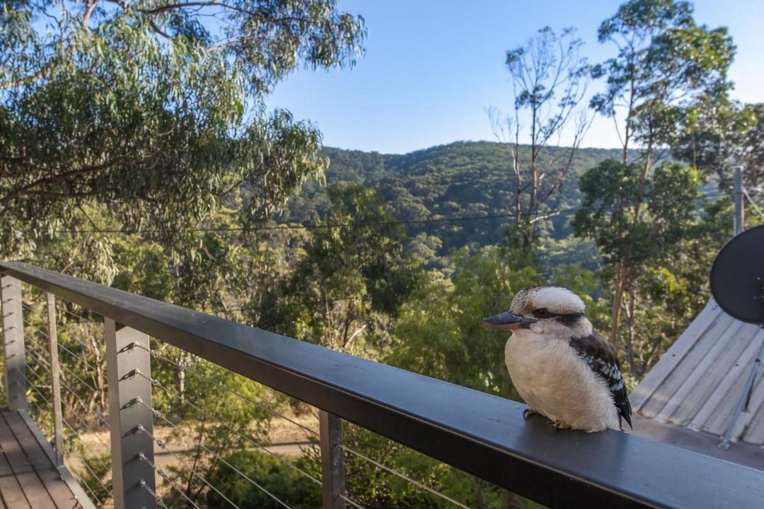 Photo of Others in Kennett River