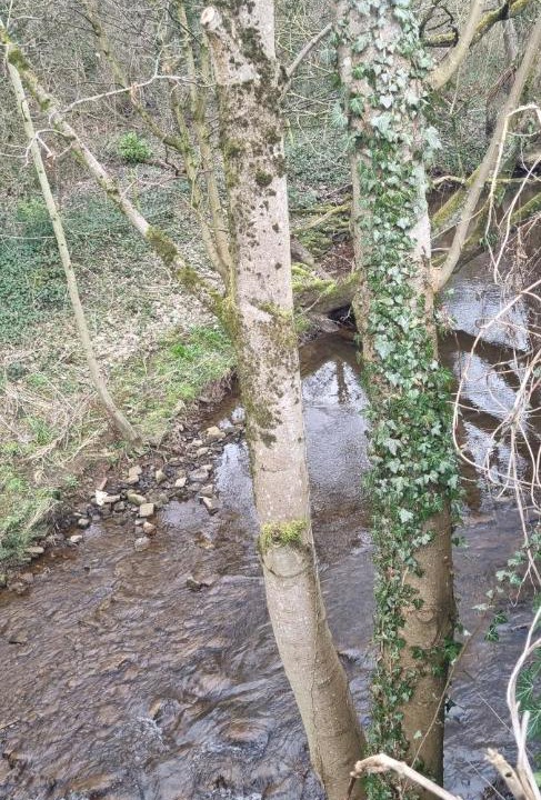 Photo of Others in New Mills