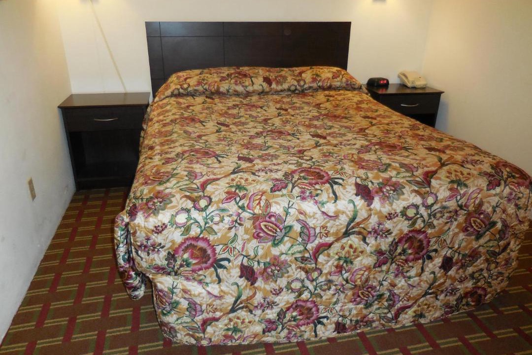 Photo of Others in Sehome