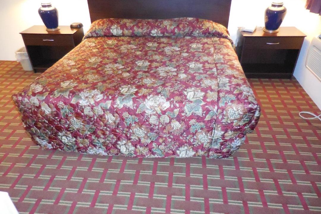 Photo of Others in Sehome