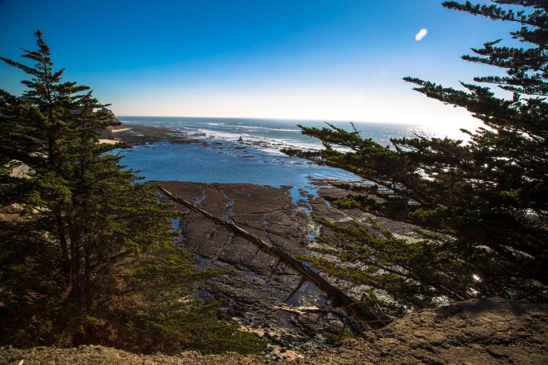 Photo of Others in Moss Beach