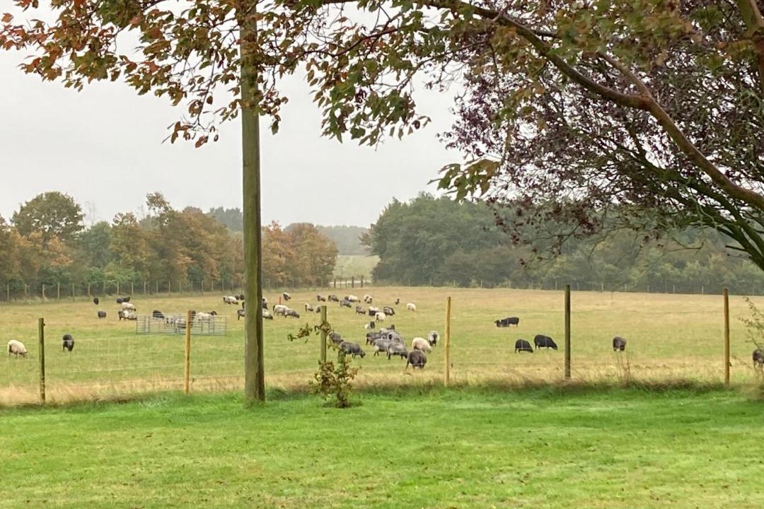 Photo of Outdoor in Give