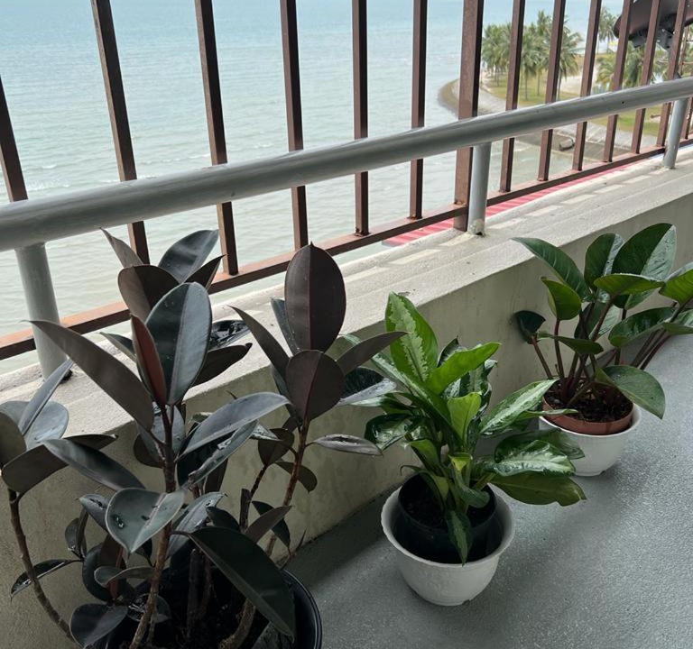 Photo of Patio Balcony in Taman Haji Zainal
