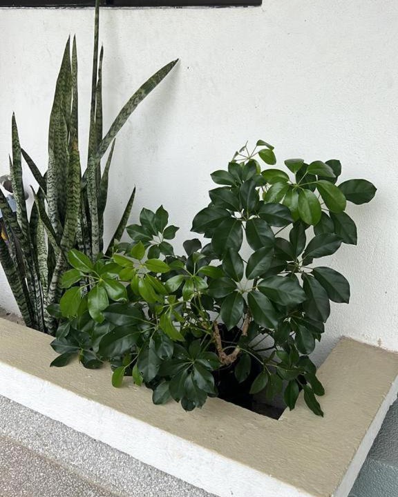 Photo of Others in Taman Haji Zainal