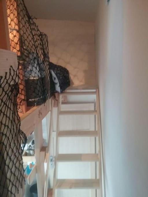 Photo of Others in Plouer-sur-Rance