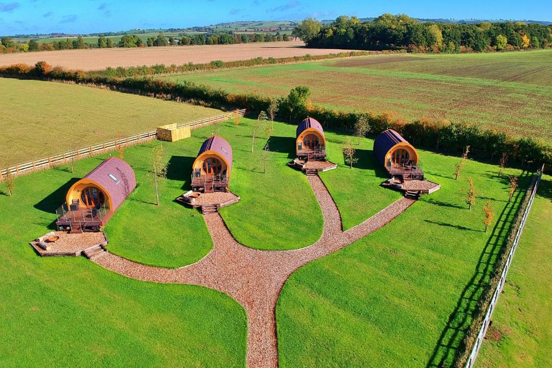 Photo of Human In Picture in Low Catton