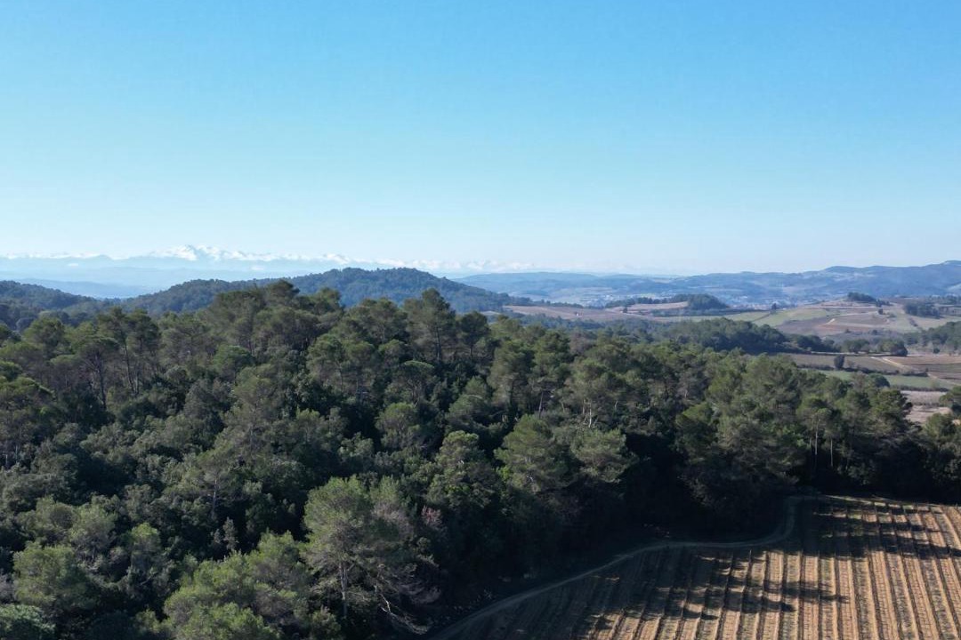 Photo of Others in Palaja