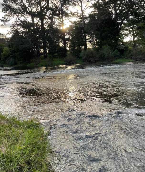 Photo of Others in Haruru