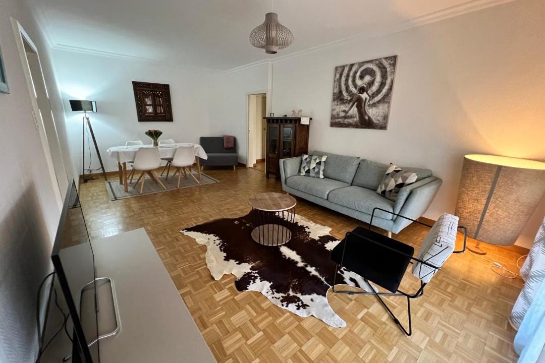 Photo of Livingroom in Versoix