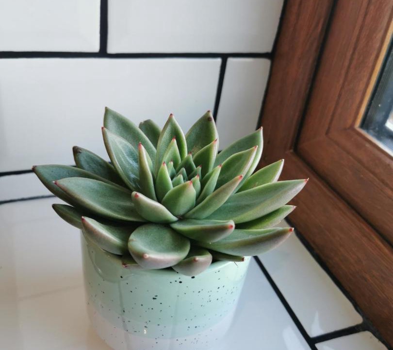 Photo of Others in Knott End-on-Sea