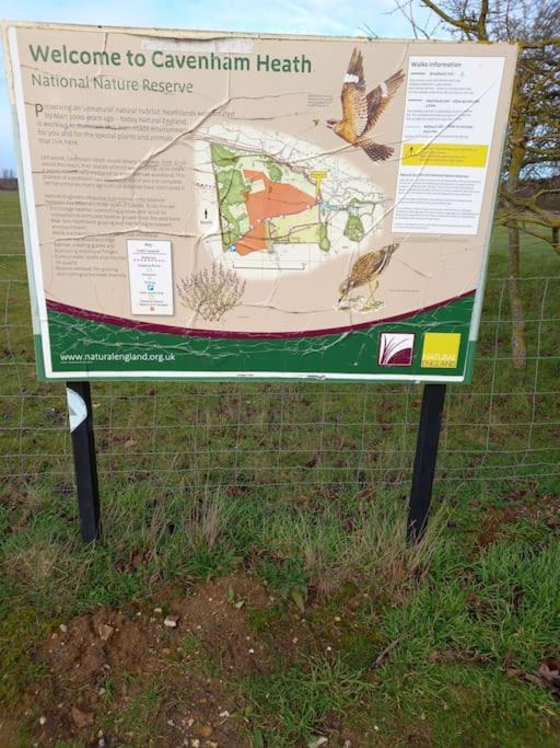 Photo of Others in Tuddenham