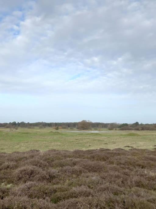 Photo of Others in Tuddenham