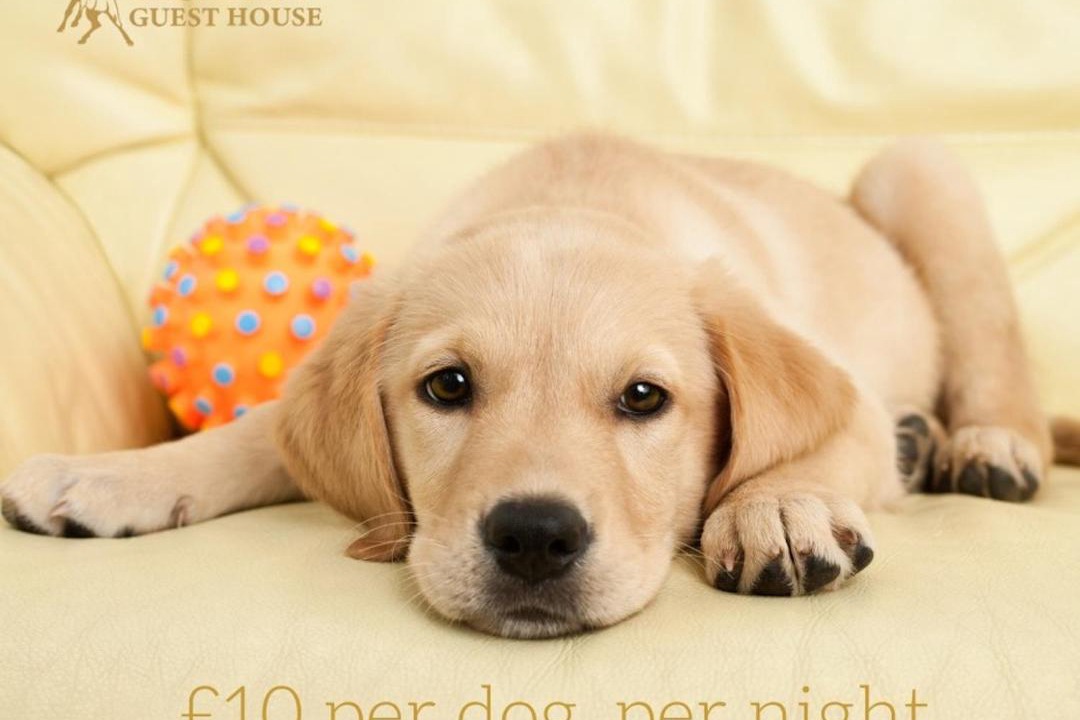 Photo of Others in Contin