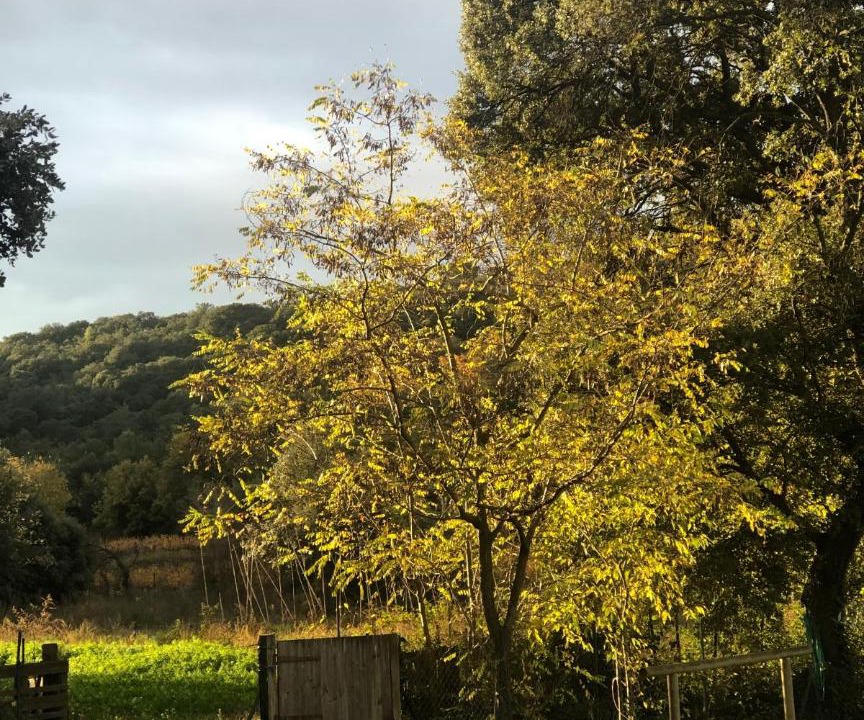 Photo of Outdoor in Le Pouget