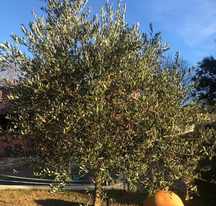 Photo of Others in Le Pouget