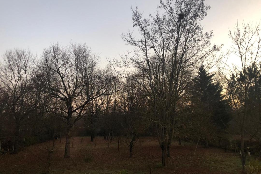 Photo of Outdoor in Montauban