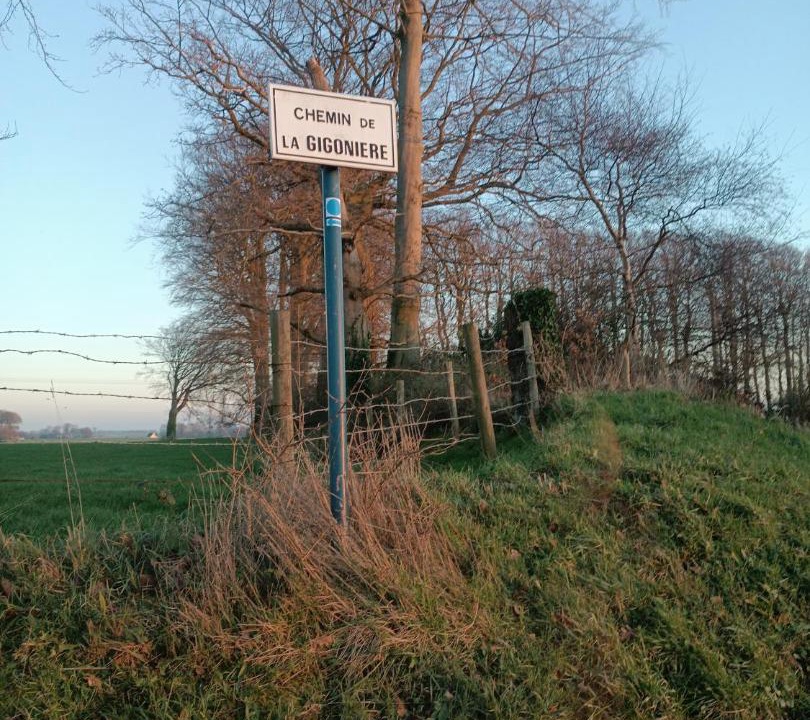 Photo of Others in Gonneville-la-Mallet