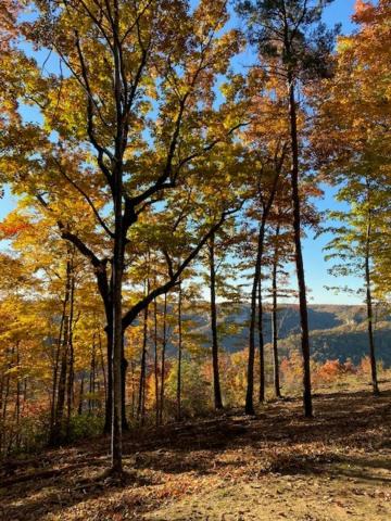 Photo of Others in Jamestown