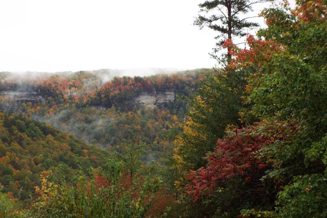 Photo of Others in Jamestown