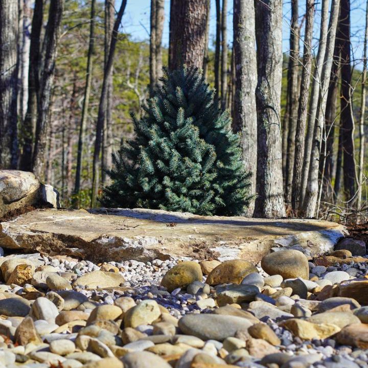 Photo of Others in Jamestown