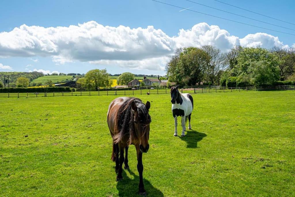 Photo of Others in Staxton