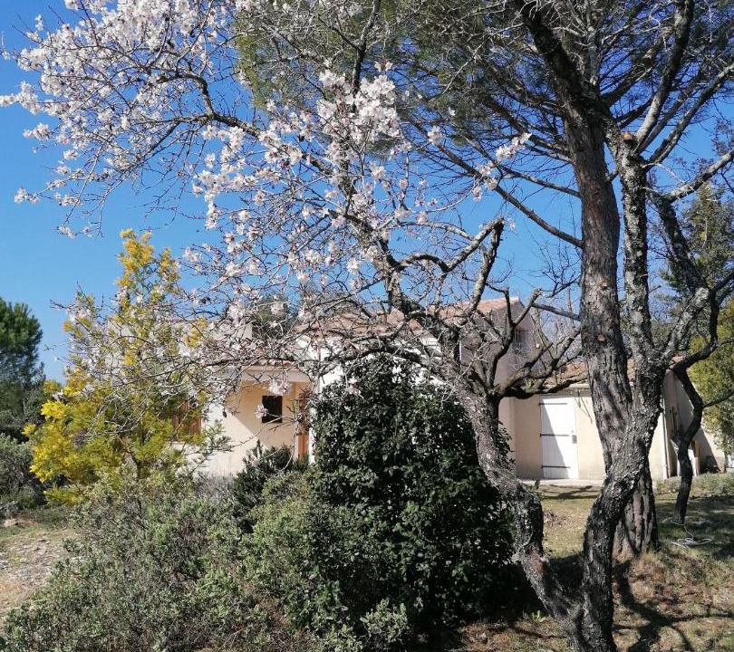 Photo of Others in Saint-Jean-de-Minervois