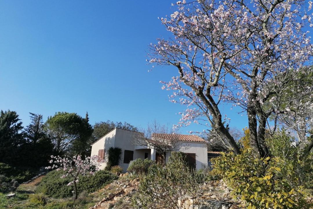 Photo of Others in Saint-Jean-de-Minervois