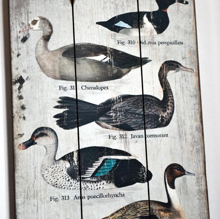 Photo of Others in Centre Ville