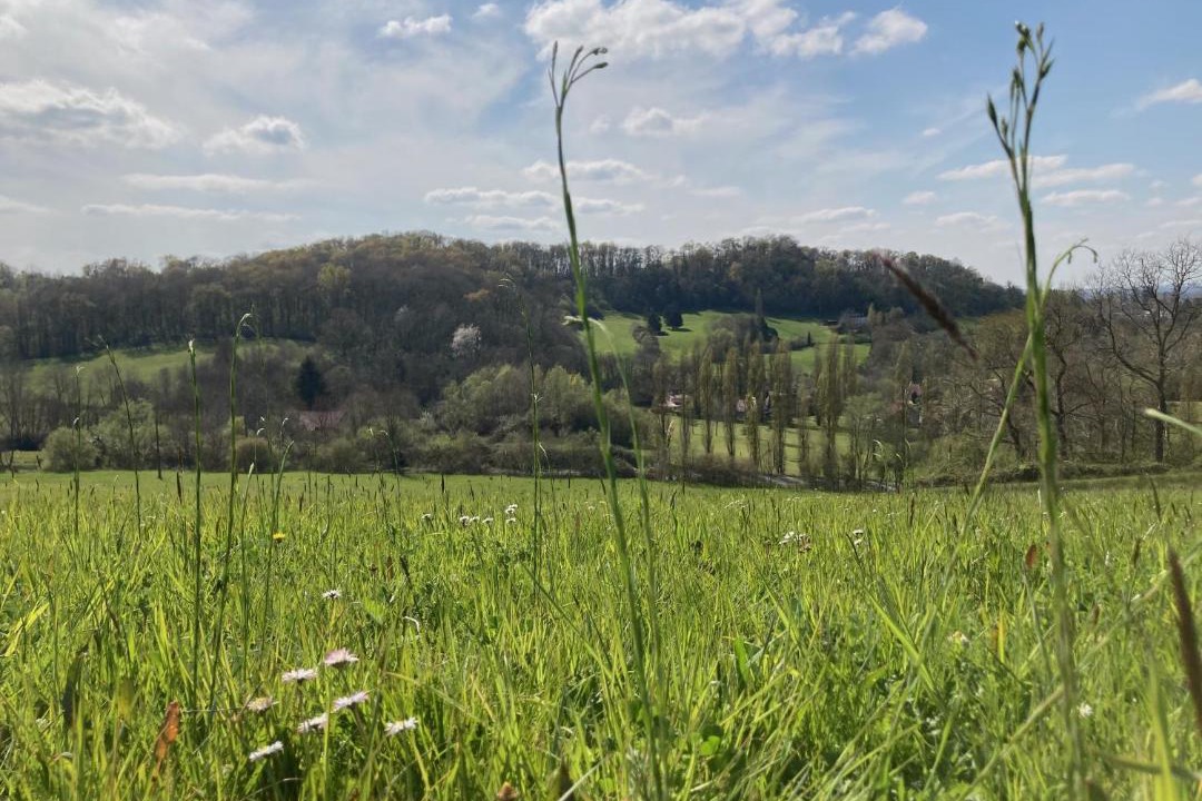 Photo of Others in Salies-de-Bearn