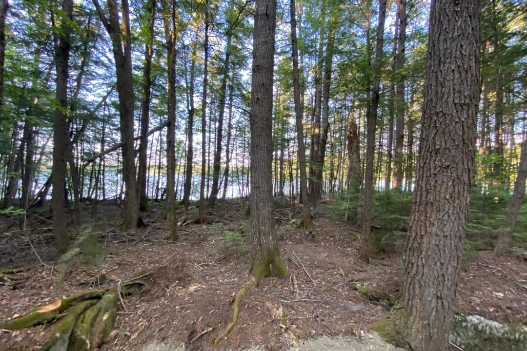 Photo of Others in Dover-Foxcroft