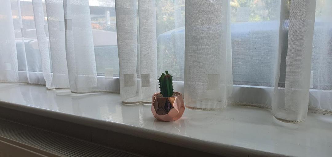 Photo of Others in Coventry