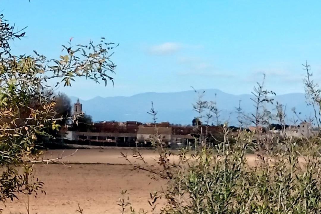 Photo of Outdoor in Perelada