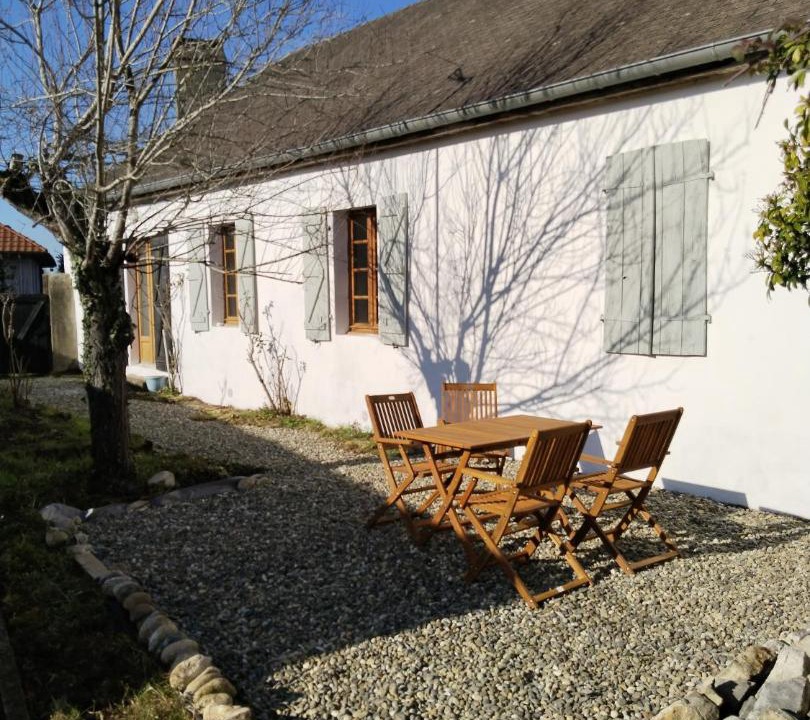 Photo of Buildings in Goes