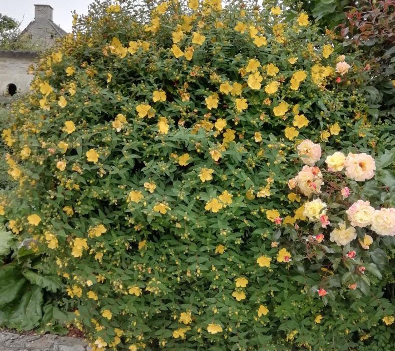 Photo of Others in Tracy-sur-Mer