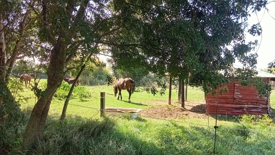 Photo of Others in Perelada