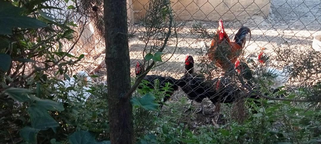 Photo of Outdoor in Perelada
