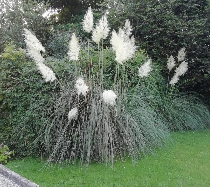 Photo of Others in Tracy-sur-Mer