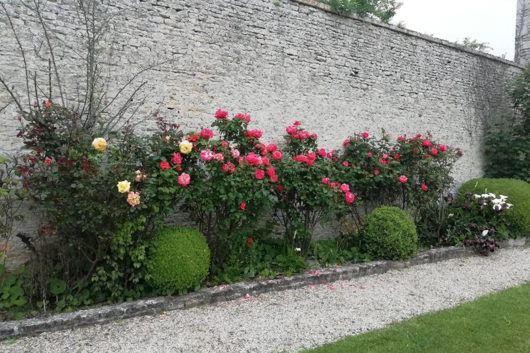 Photo of Others in Tracy-sur-Mer