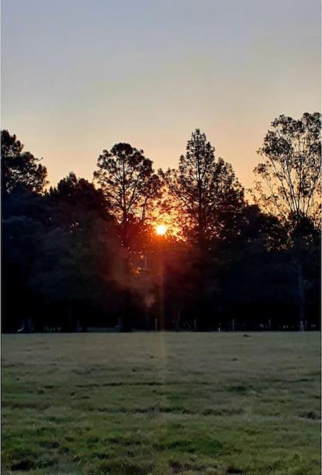 Photo of Others in Tamborine