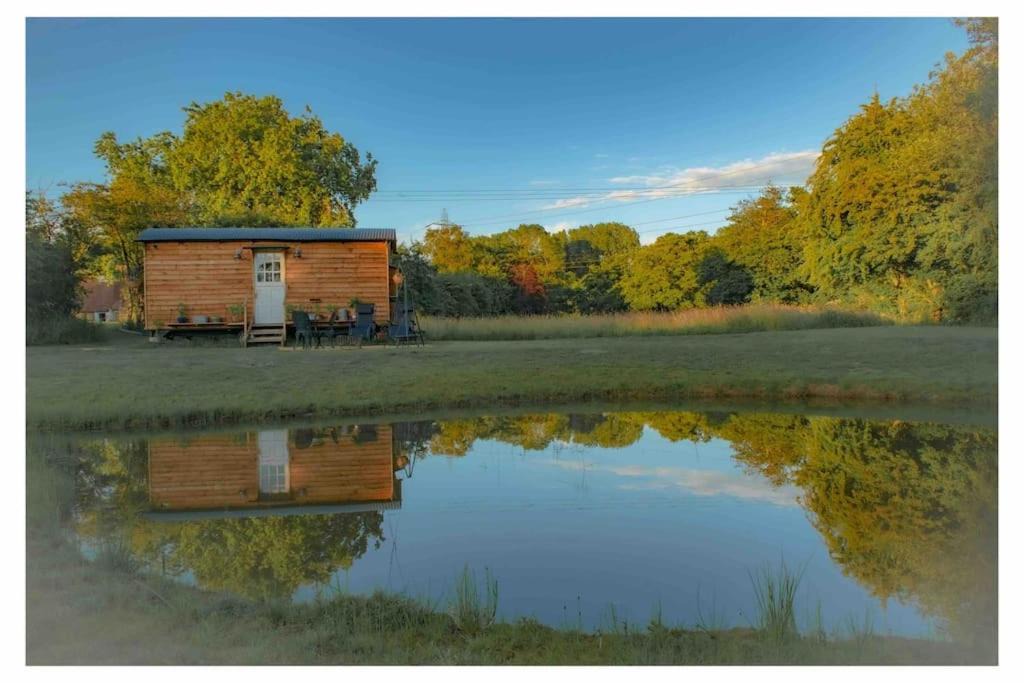 Photo of Others in Willesborough