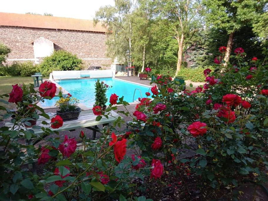 Photo of Outdoor in Saint-Paulien