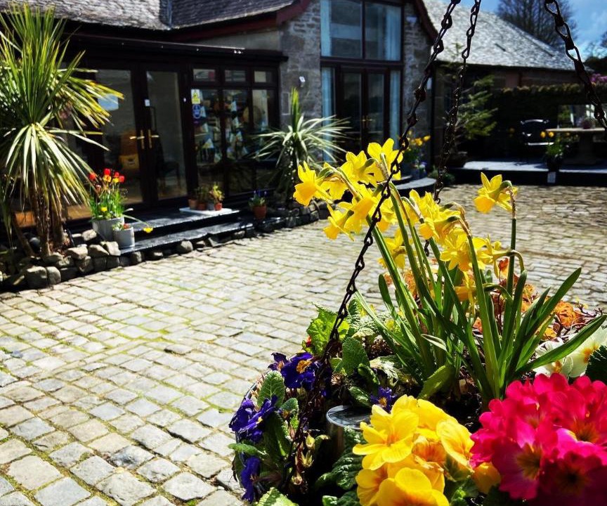 Photo of Others in Alexandria