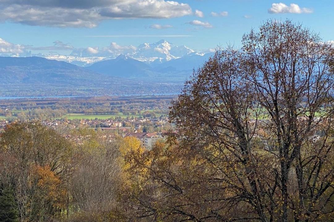 Photo of Others in Gex